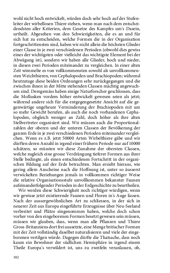 Seite 382