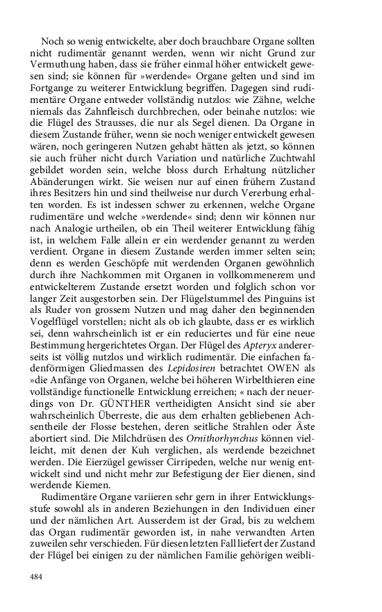 Seite 484
