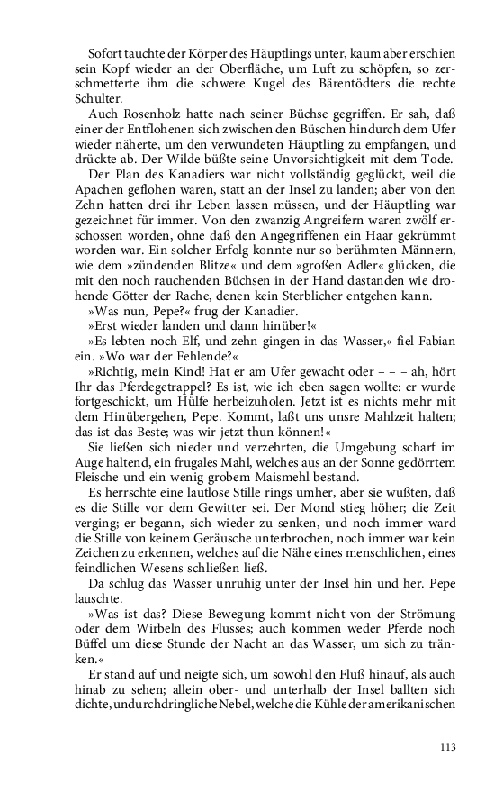 Seite 113