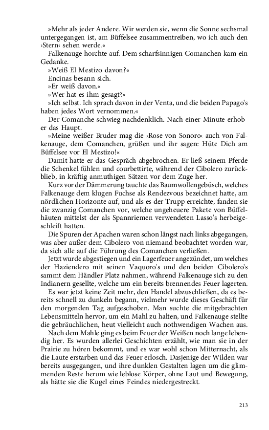 Seite 213