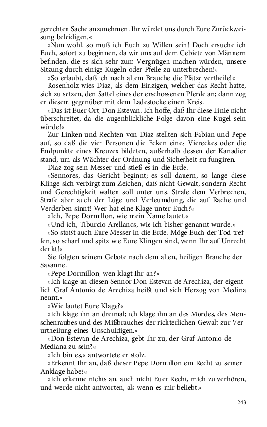 Seite 243