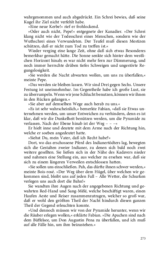 Seite 273