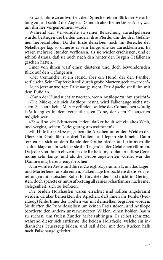 Seite 293