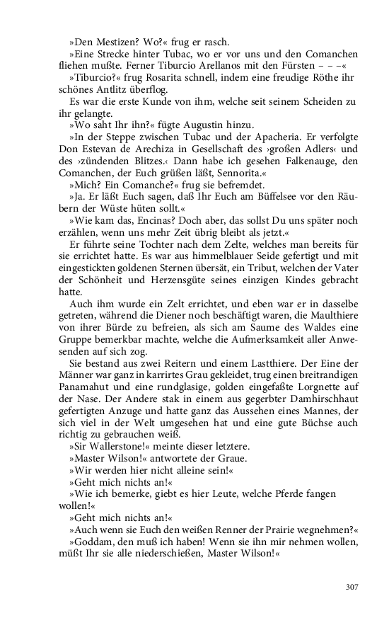 Seite 307