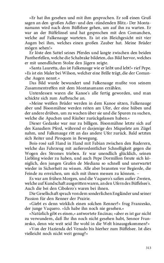 Seite 313