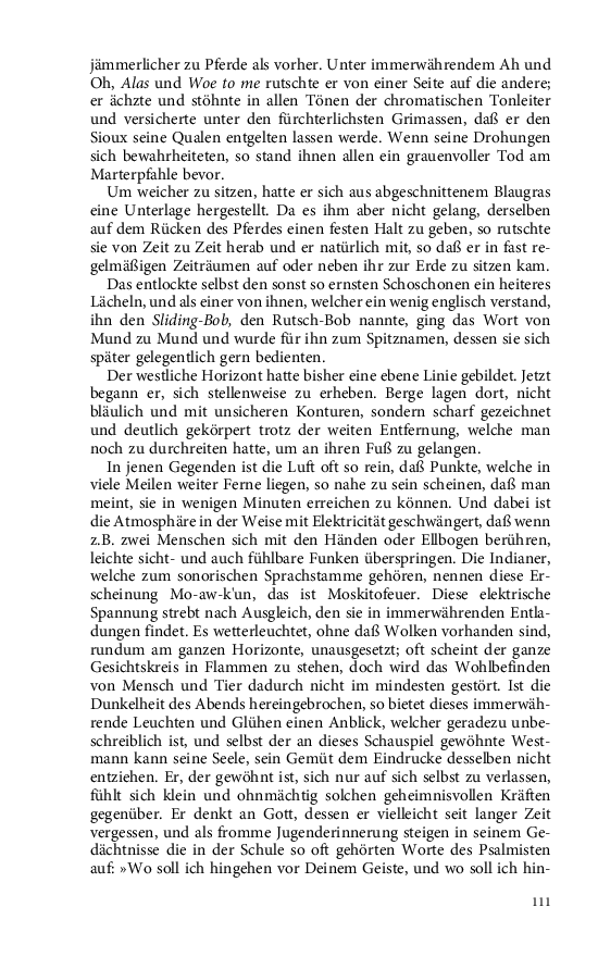 Seite 111
