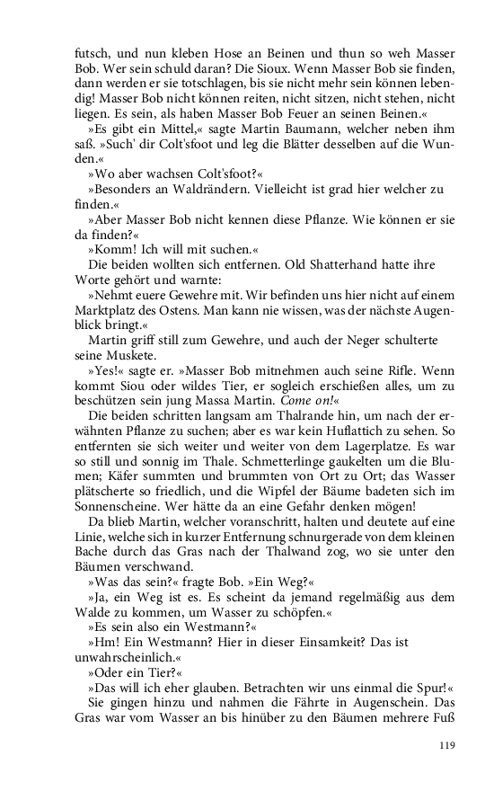 Seite 119