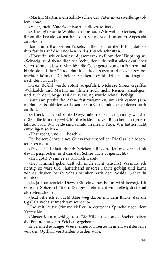 Seite 243
