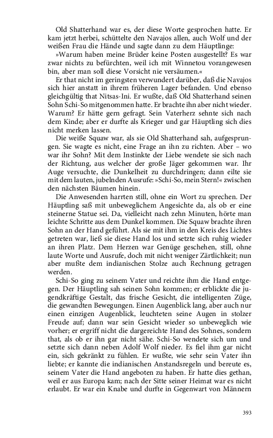 Seite 393