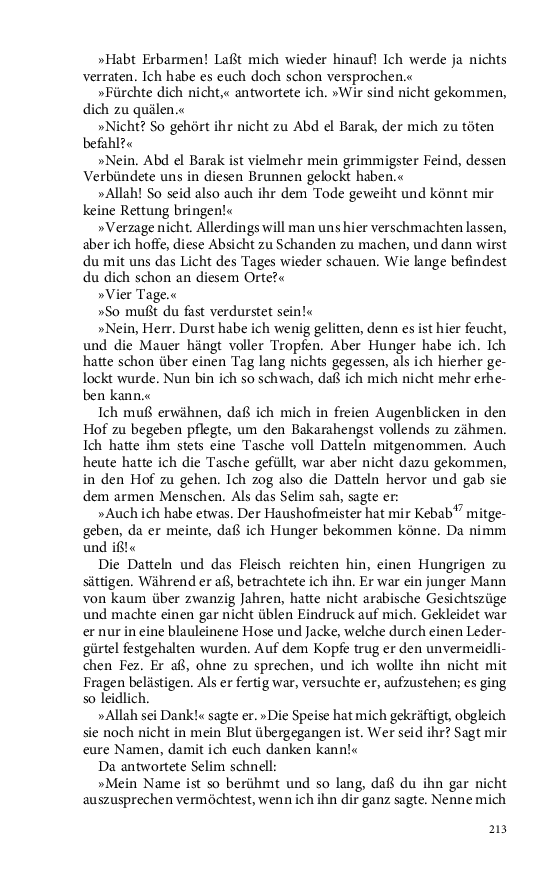 Seite 213