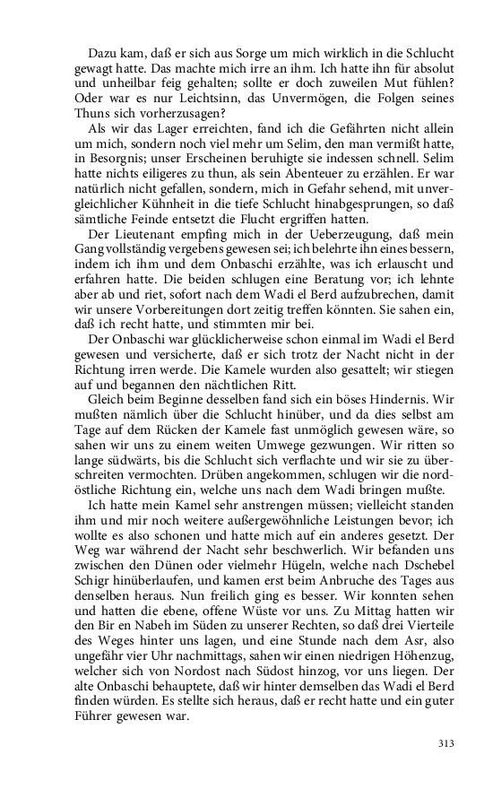 Seite 313