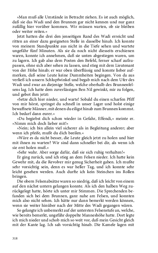 Seite 318