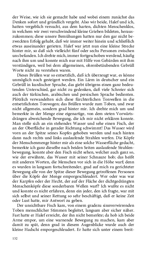 Seite 132