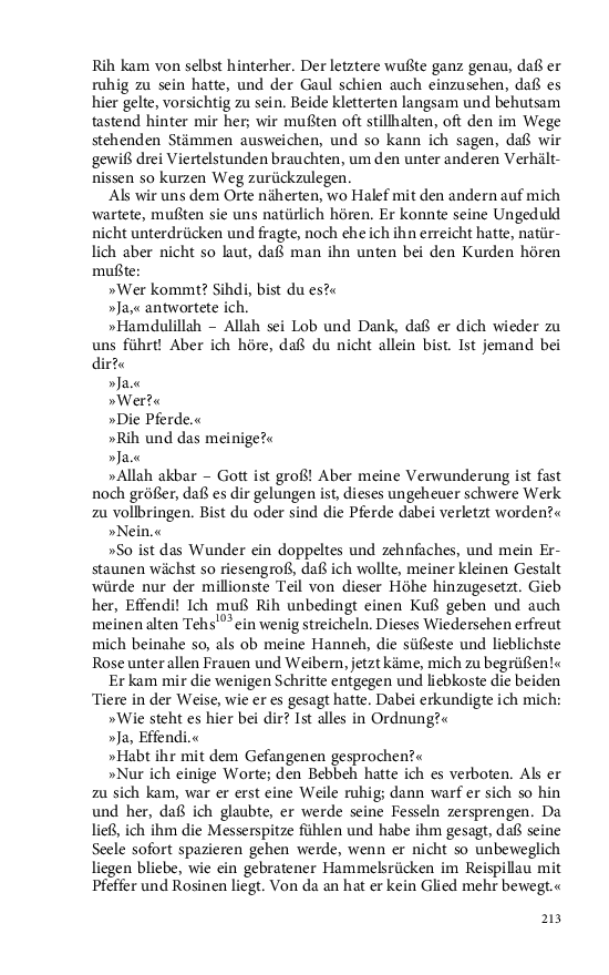 Seite 213