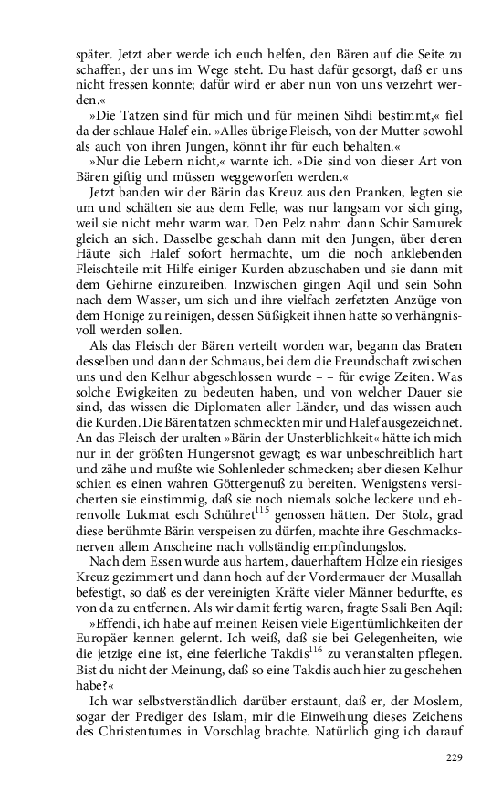 Seite 229