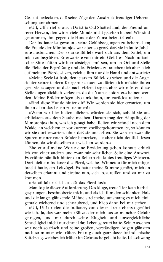 Seite 161