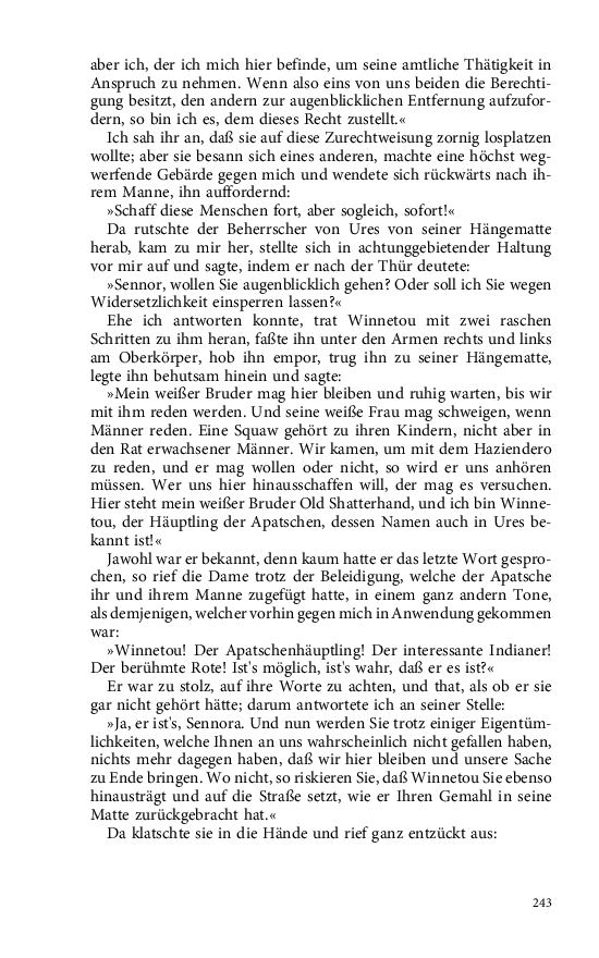 Seite 243