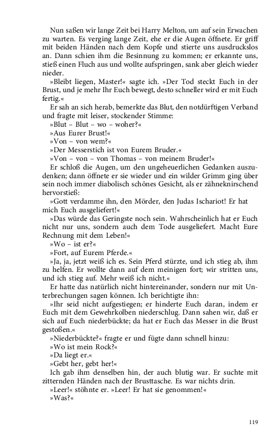 Seite 119