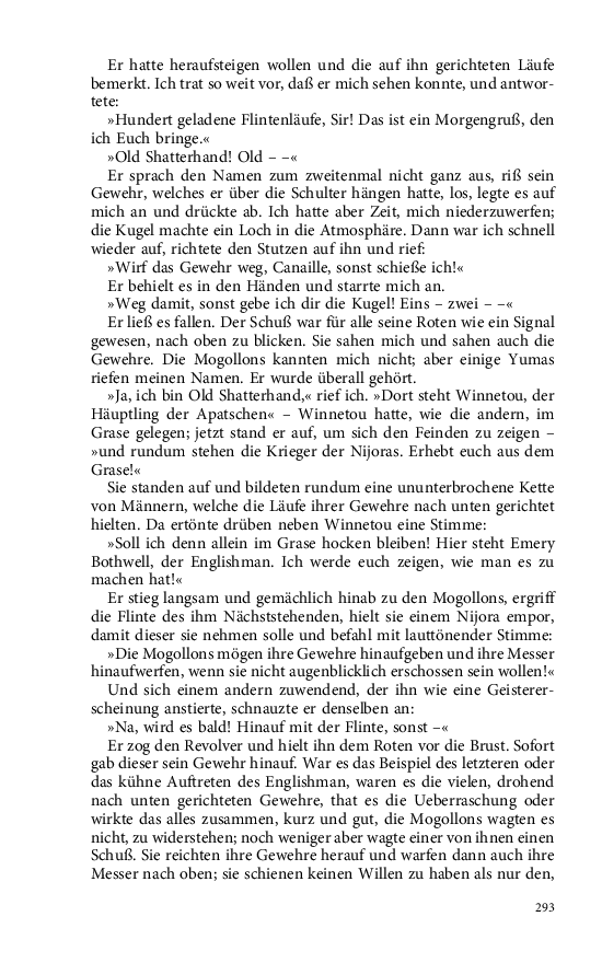 Seite 293