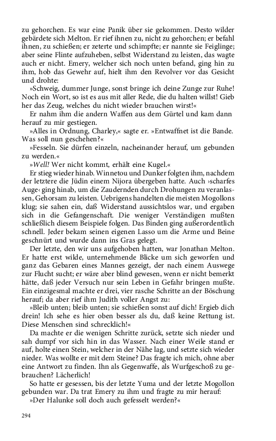 Seite 294