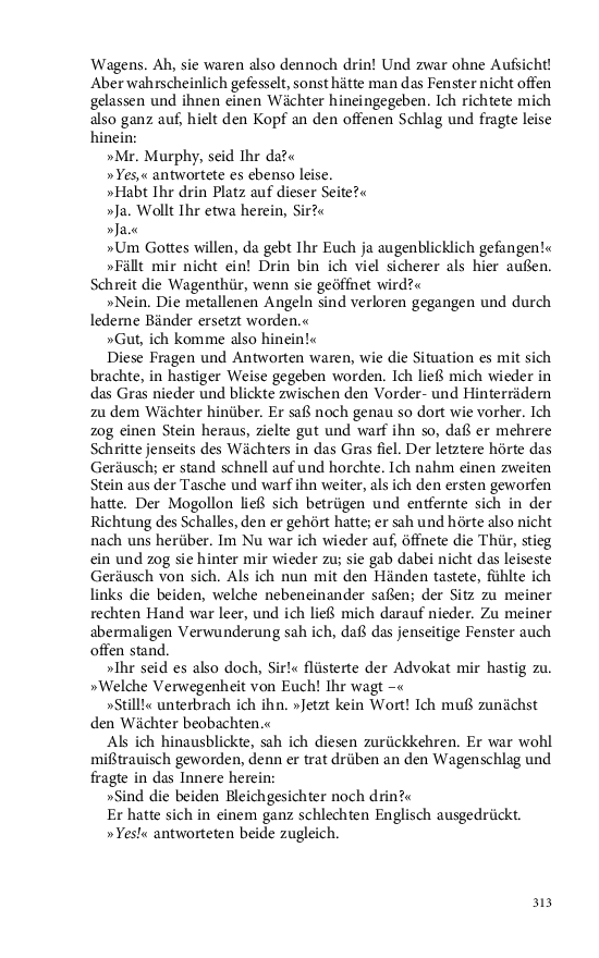 Seite 313