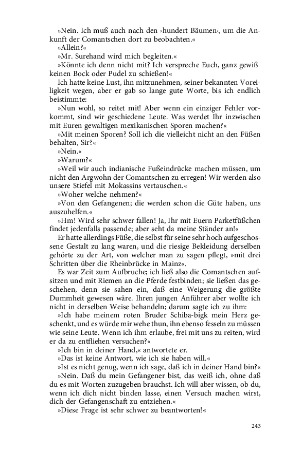 Seite 243
