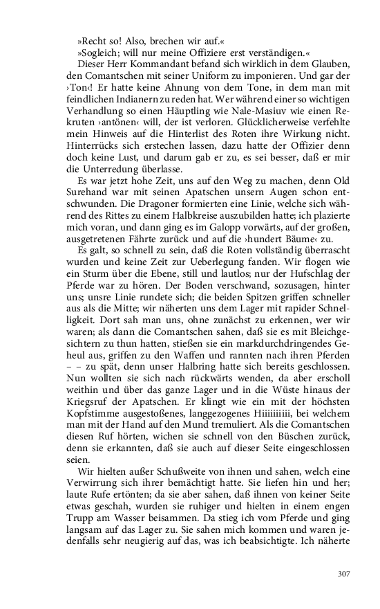 Seite 307