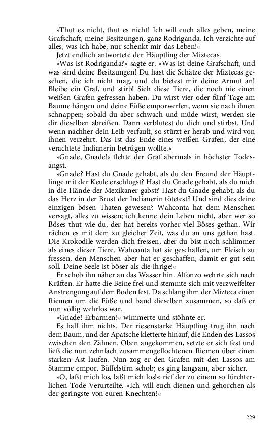 Seite 229