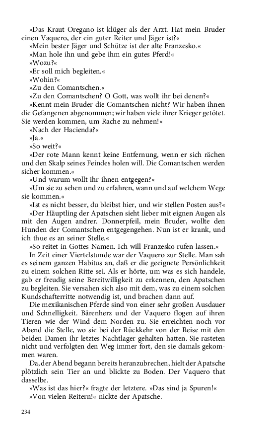 Seite 234