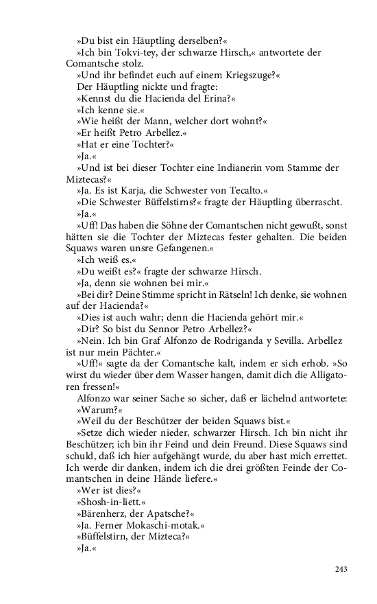 Seite 243