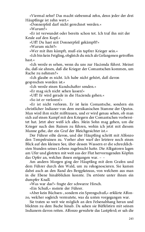 Seite 245