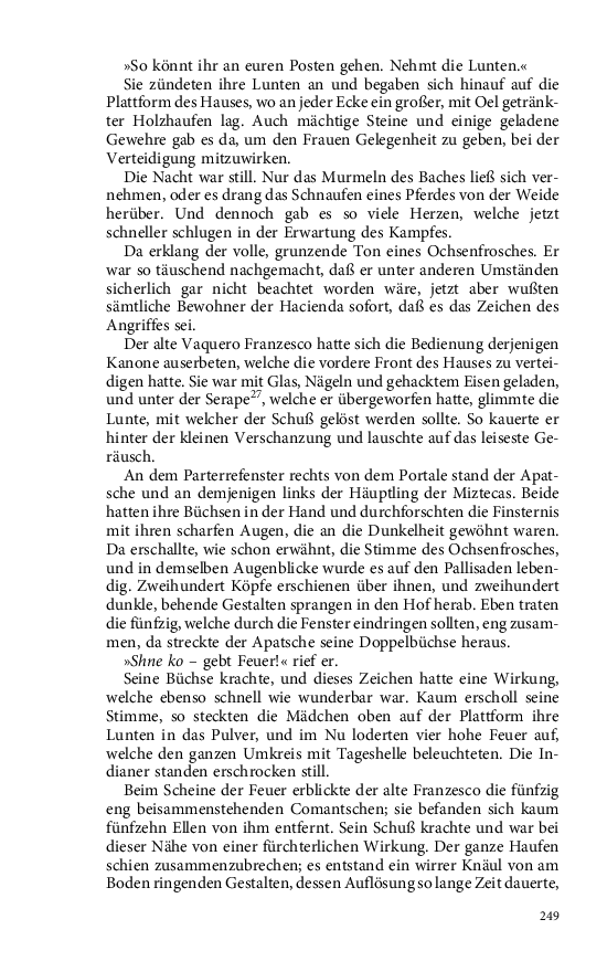Seite 249