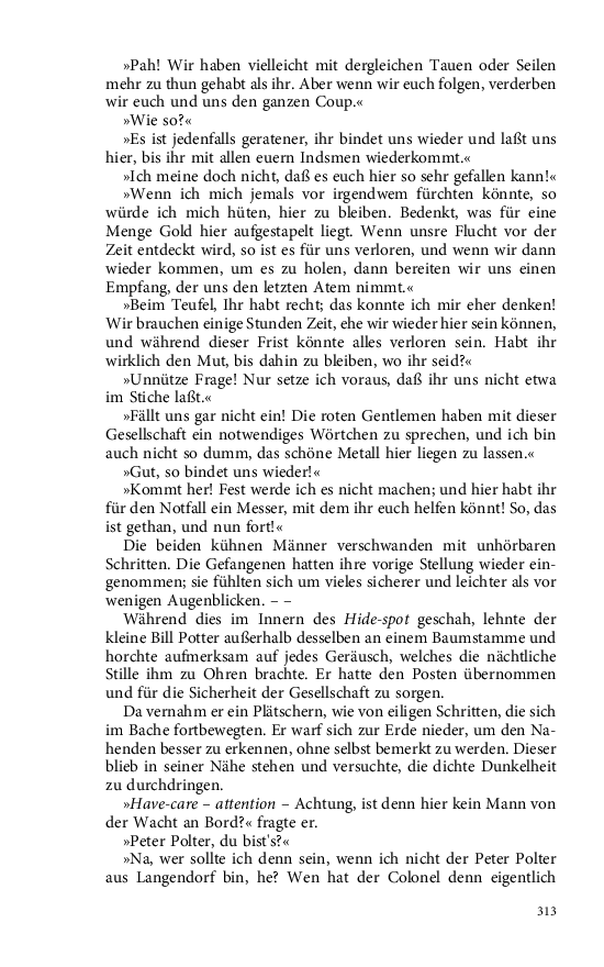Seite 313