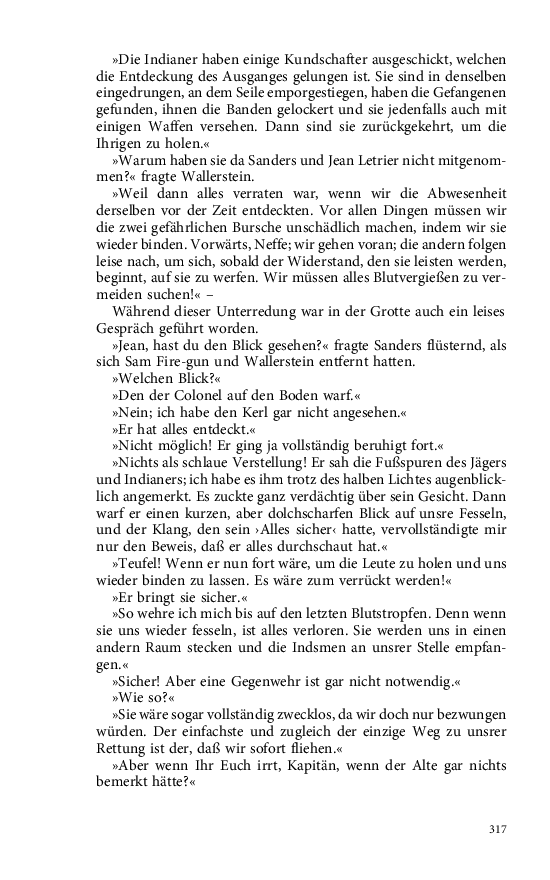 Seite 317