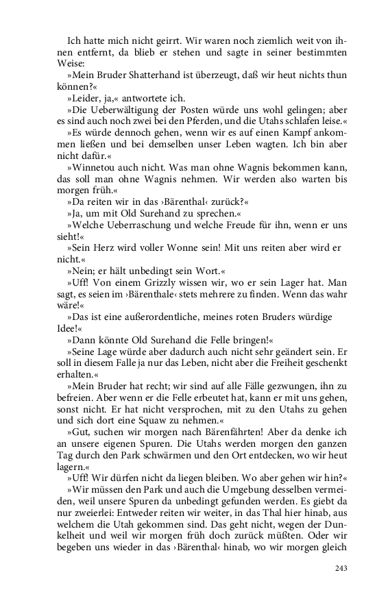 Seite 243