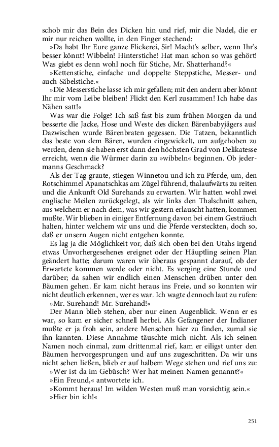 Seite 251