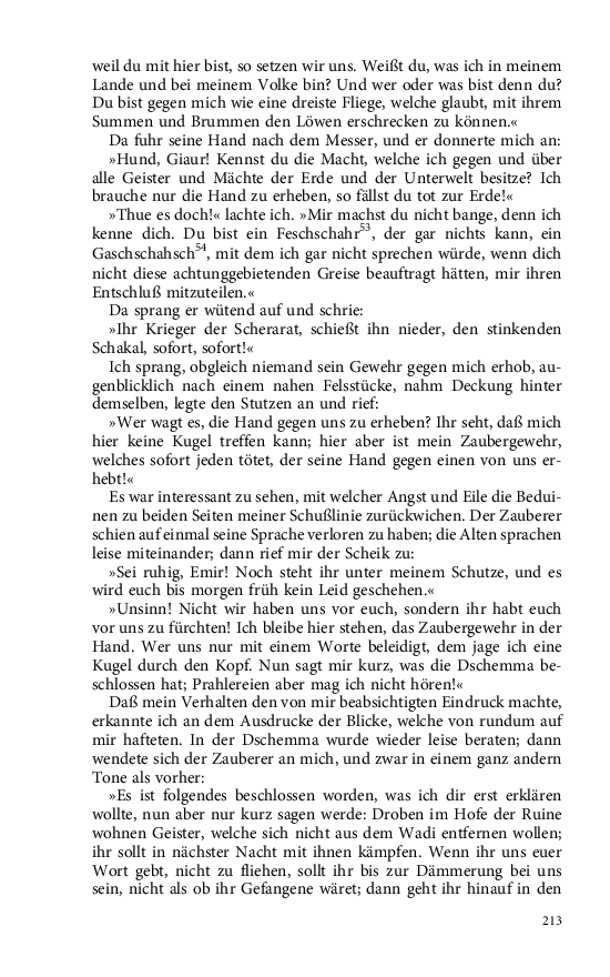 Seite 213