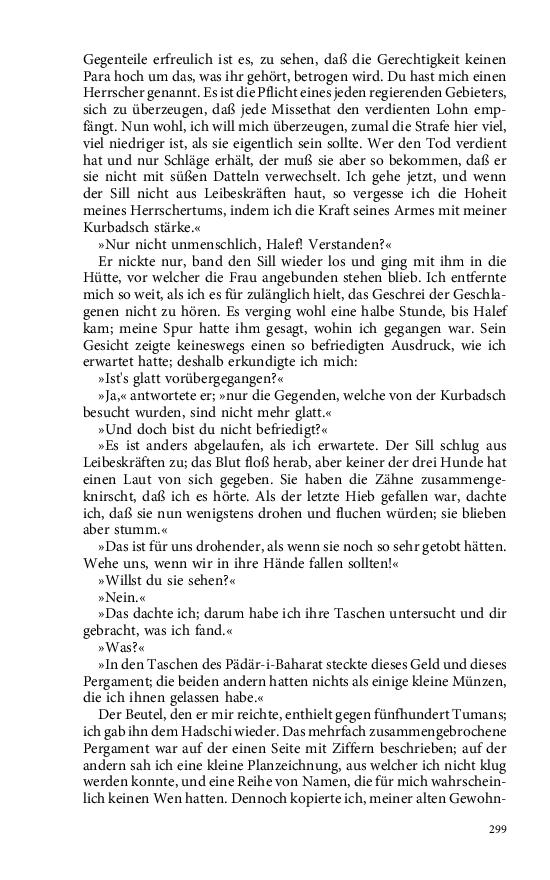 Seite 299