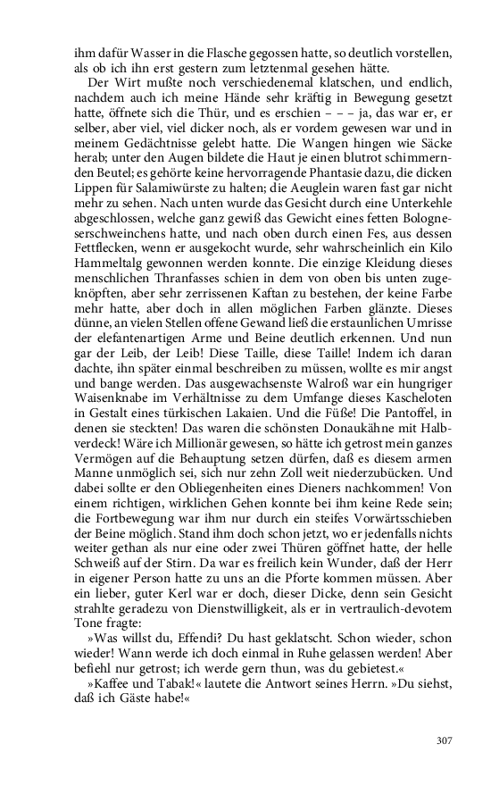 Seite 307