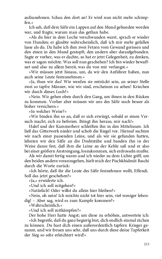 Seite 213