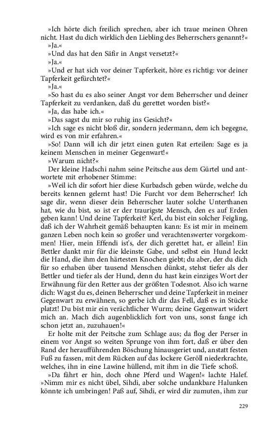 Seite 229