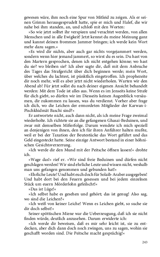 Seite 243