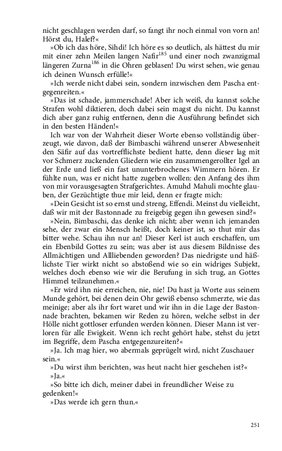 Seite 251