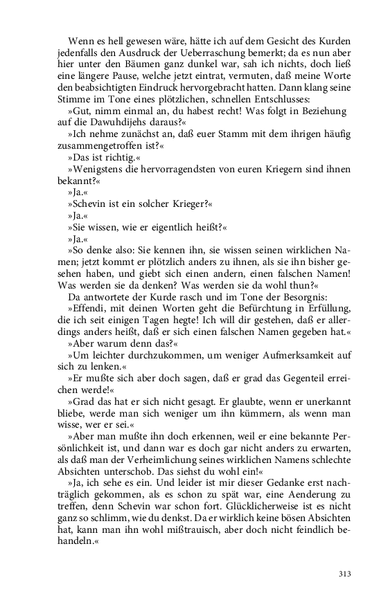 Seite 313