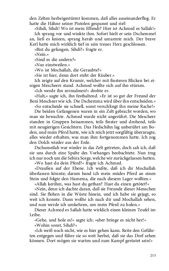 Seite 213