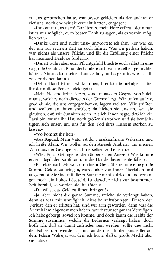 Seite 307