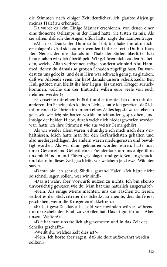 Seite 313