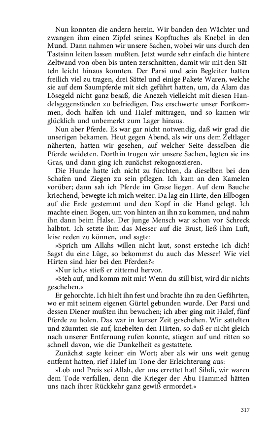Seite 317