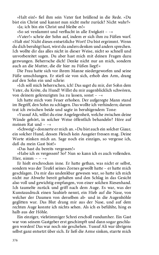 Seite 376
