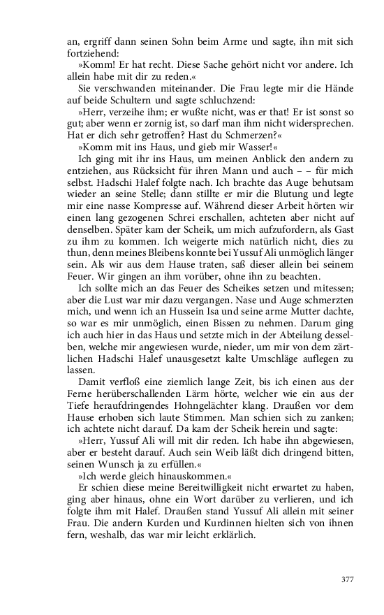 Seite 377